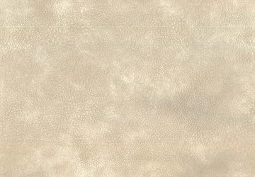 Nubuck Leather Look Shell